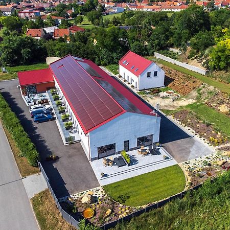 Veltlin Bed & Wine Hotel Valtice Kültér fotó